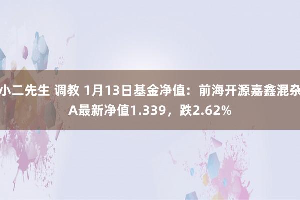 小二先生 调教 1月13日基金净值：前海开源嘉鑫混杂A最新净值1.339，跌2.62%
