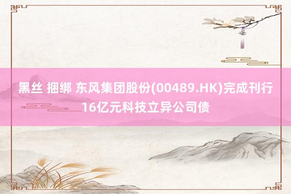 黑丝 捆绑 东风集团股份(00489.HK)完成刊行16亿元科技立异公司债