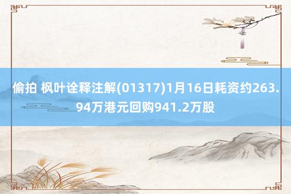 偷拍 枫叶诠释注解(01317)1月16日耗资约263.94万港元回购941.2万股