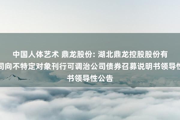 中国人体艺术 鼎龙股份: 湖北鼎龙控股股份有限公司向不特定对象刊行可调治公司债券召募说明书领导性公告