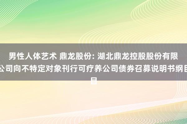 男性人体艺术 鼎龙股份: 湖北鼎龙控股股份有限公司向不特定对象刊行可疗养公司债券召募说明书纲目