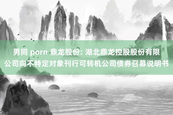 男同 porn 鼎龙股份: 湖北鼎龙控股股份有限公司向不特定对象刊行可转机公司债券召募说明书