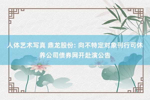人体艺术写真 鼎龙股份: 向不特定对象刊行可休养公司债券网开赴演公告
