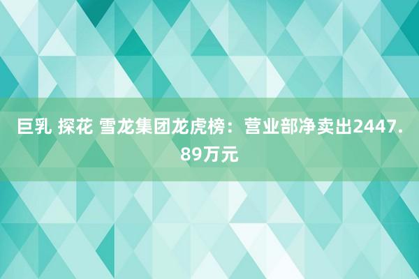 巨乳 探花 雪龙集团龙虎榜：营业部净卖出2447.89万元