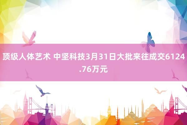 顶级人体艺术 中坚科技3月31日大批来往成交6124.76万元