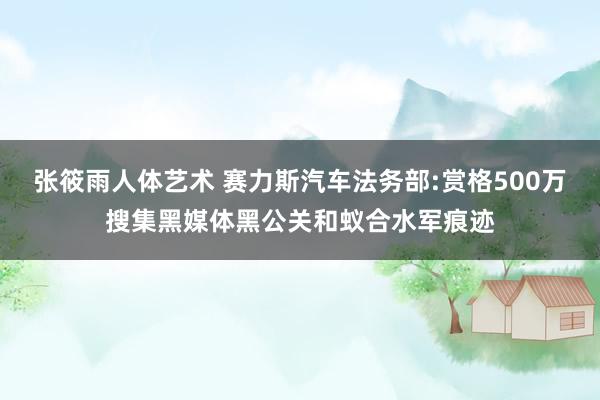 张筱雨人体艺术 赛力斯汽车法务部:赏格500万搜集黑媒体黑公关和蚁合水军痕迹