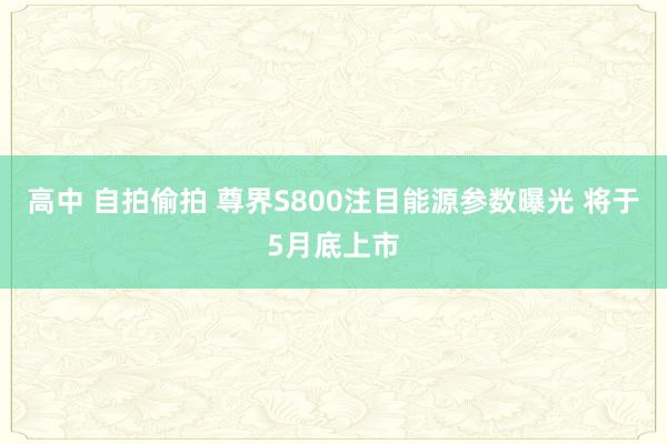 高中 自拍偷拍 尊界S800注目能源参数曝光 将于5月底上市