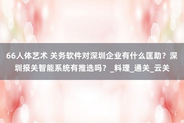66人体艺术 关务软件对深圳企业有什么匡助？深圳报关智能系统有推选吗？_料理_通关_云关