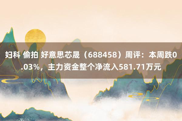 妇科 偷拍 好意思芯晟（688458）周评：本周跌0.03%，主力资金整个净流入581.71万元