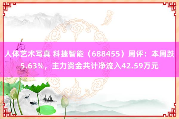 人体艺术写真 科捷智能（688455）周评：本周跌5.63%，主力资金共计净流入42.59万元