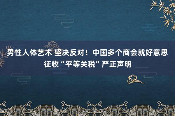 男性人体艺术 坚决反对！中国多个商会就好意思征收“平等关税”严正声明