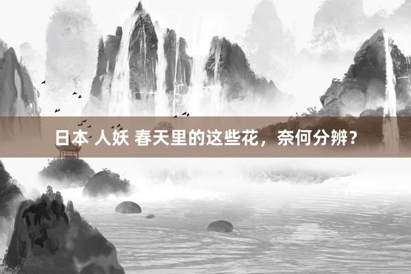 日本 人妖 春天里的这些花，奈何分辨？