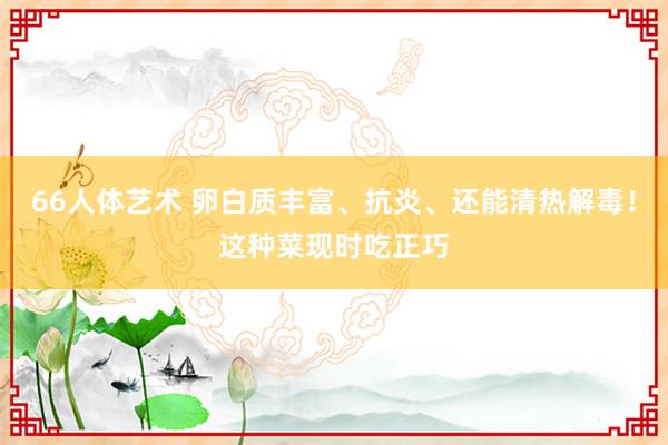 66人体艺术 卵白质丰富、抗炎、还能清热解毒！这种菜现时吃正巧
