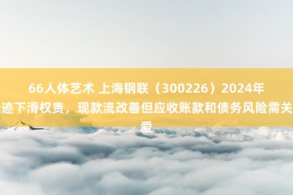66人体艺术 上海钢联（300226）2024年纪迹下滑权贵，现款流改善但应收账款和债务风险需关爱
