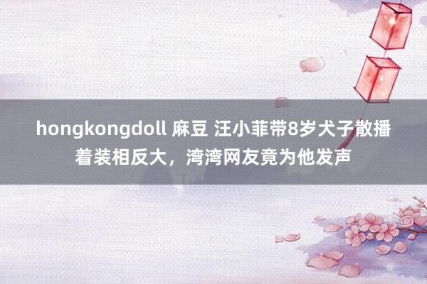 hongkongdoll 麻豆 汪小菲带8岁犬子散播着装相反大，湾湾网友竟为他发声