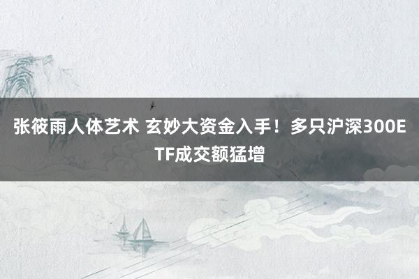 张筱雨人体艺术 玄妙大资金入手！多只沪深300ETF成交额猛增