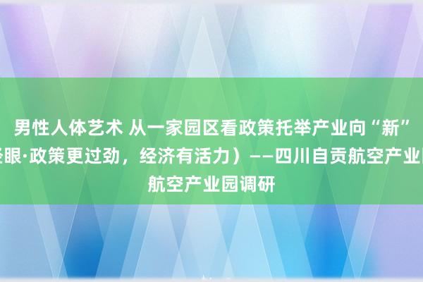 男性人体艺术 从一家园区看政策托举产业向“新”（财经眼·政策更过劲，经济有活力）——四川自贡航空产业园调研