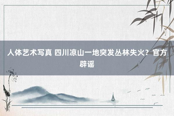 人体艺术写真 四川凉山一地突发丛林失火？官方辟谣