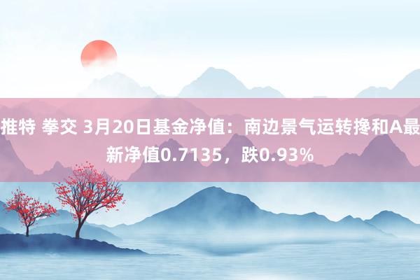 推特 拳交 3月20日基金净值：南边景气运转搀和A最新净值0.7135，跌0.93%