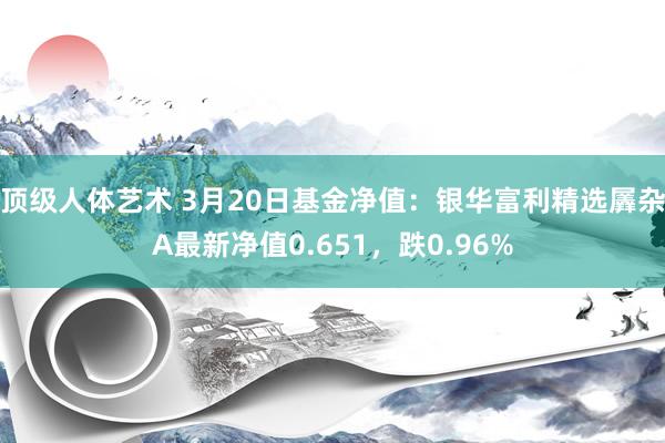 顶级人体艺术 3月20日基金净值：银华富利精选羼杂A最新净值0.651，跌0.96%