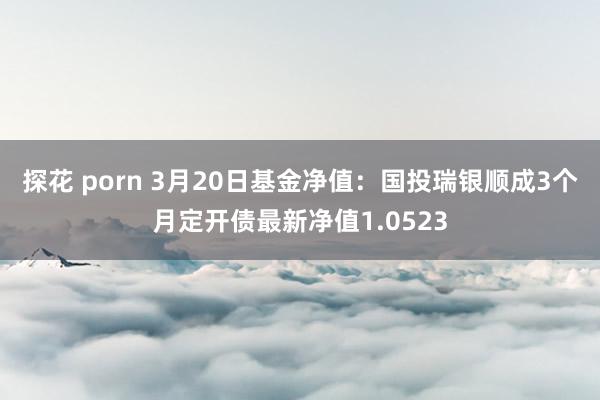 探花 porn 3月20日基金净值：国投瑞银顺成3个月定开债最新净值1.0523