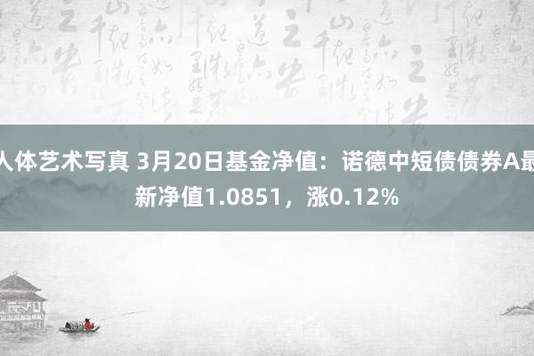 人体艺术写真 3月20日基金净值：诺德中短债债券A最新净值1.0851，涨0.12%