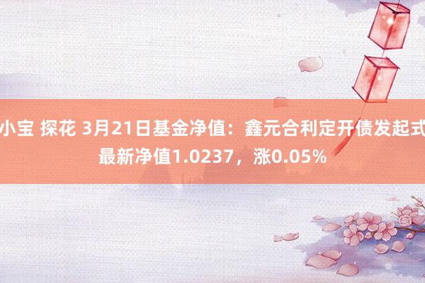 小宝 探花 3月21日基金净值：鑫元合利定开债发起式最新净值1.0237，涨0.05%