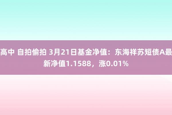 高中 自拍偷拍 3月21日基金净值：东海祥苏短债A最新净值1.1588，涨0.01%