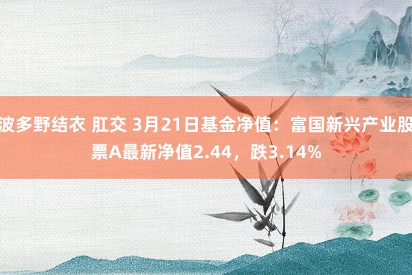 波多野结衣 肛交 3月21日基金净值：富国新兴产业股票A最新净值2.44，跌3.14%