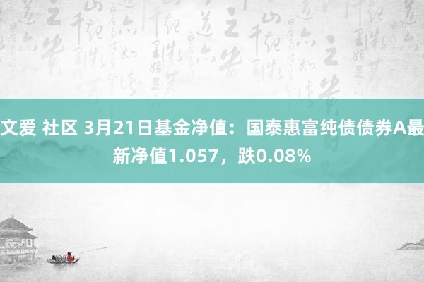 文爱 社区 3月21日基金净值：国泰惠富纯债债券A最新净值1.057，跌0.08%