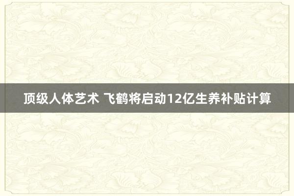 顶级人体艺术 飞鹤将启动12亿生养补贴计算