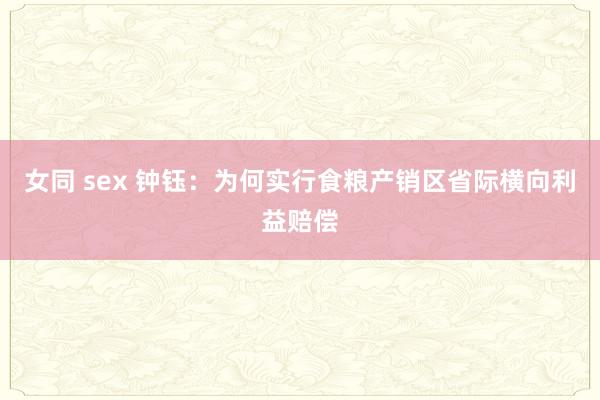 女同 sex 钟钰：为何实行食粮产销区省际横向利益赔偿