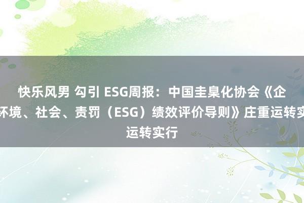 快乐风男 勾引 ESG周报：中国圭臬化协会《企业环境、社会、责罚（ESG）绩效评价导则》庄重运转实行