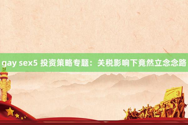 gay sex5 投资策略专题：关税影响下竟然立念念路