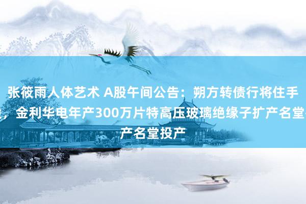 张筱雨人体艺术 A股午间公告：朔方转债行将住手转股，金利华电年产300万片特高压玻璃绝缘子扩产名堂投产