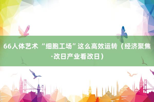 66人体艺术 “细胞工场”这么高效运转（经济聚焦·改日产业看改日）
