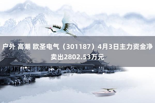 户外 高潮 欧圣电气（301187）4月3日主力资金净卖出2802.53万元