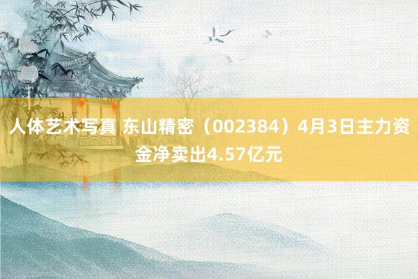 人体艺术写真 东山精密（002384）4月3日主力资金净卖出4.57亿元