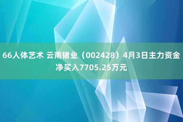 66人体艺术 云南锗业（002428）4月3日主力资金净买入7705.25万元