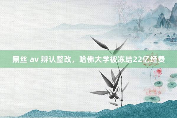 黑丝 av 辨认整改，哈佛大学被冻结22亿经费
