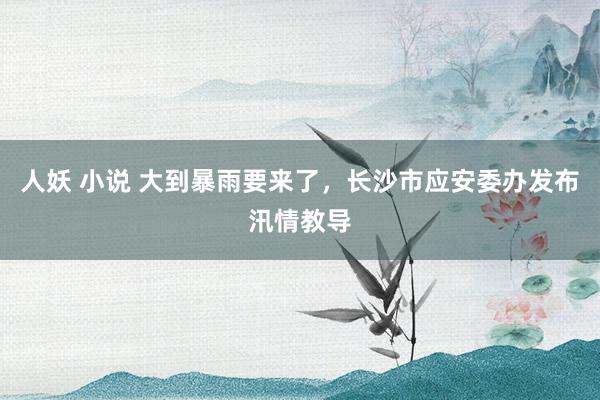 人妖 小说 大到暴雨要来了，长沙市应安委办发布汛情教导