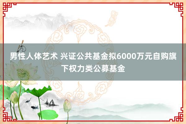 男性人体艺术 兴证公共基金拟6000万元自购旗下权力类公募基金