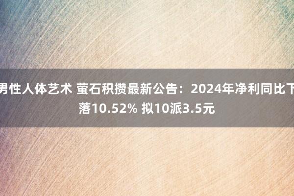 男性人体艺术 萤石积攒最新公告：2024年净利同比下落10.52% 拟10派3.5元