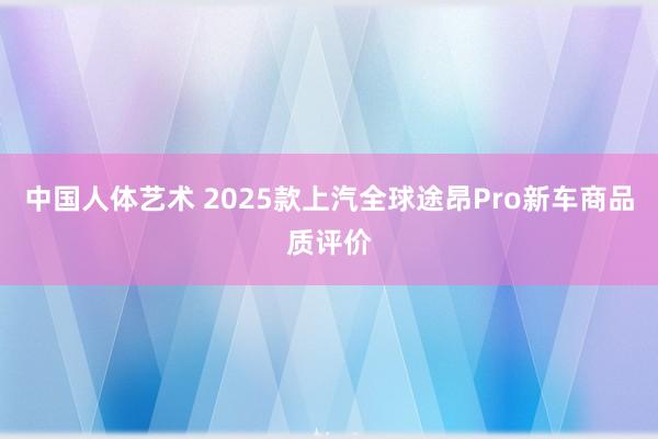 中国人体艺术 2025款上汽全球途昂Pro新车商品质评价