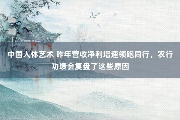 中国人体艺术 昨年营收净利增速领跑同行，农行功绩会复盘了这些原因