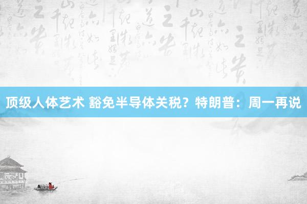 顶级人体艺术 豁免半导体关税？特朗普：周一再说