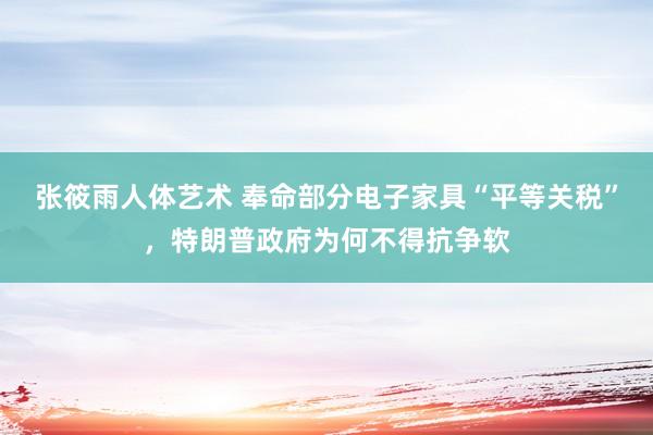 张筱雨人体艺术 奉命部分电子家具“平等关税”，特朗普政府为何不得抗争软