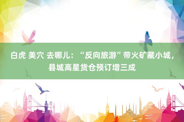 白虎 美穴 去哪儿：“反向旅游”带火矿藏小城，县城高星货仓预订增三成