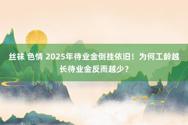 丝袜 色情 2025年待业金倒挂依旧！为何工龄越长待业金反而越少？
